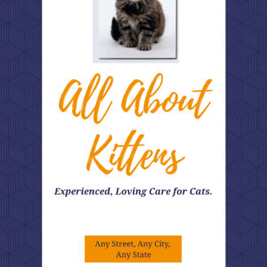 The cat poster with edited image.