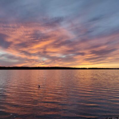 Quality 60 948.3 KB 79% compression